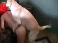 Girl Agrees to take experience of fuck by dog